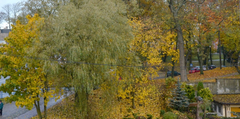 Kartuzy. W parku przy poczcie chcą ustawić pomnik Józefa Piłsudskiego