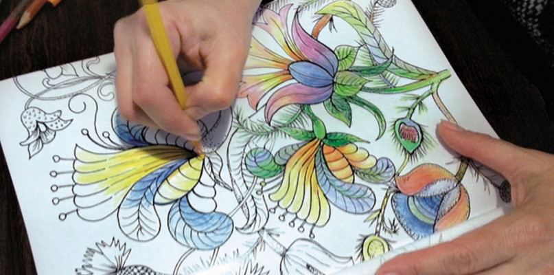 Wypełniaj kolorami kaszubskie wzory. Powstała kolorowanka "Kaszubskie ogrody"