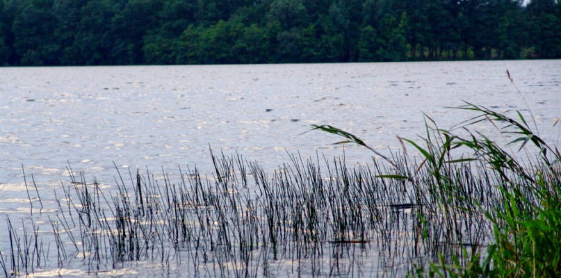 Mściszewice. Koniec batalii o Jezioro Stacinko? Właściciel chce pozwać prokuraturę