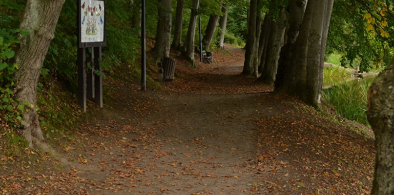 Kolejna promenada w Kartuzach? Nad Jeziorem Klasztornym Małym powstać ma asfaltowy
