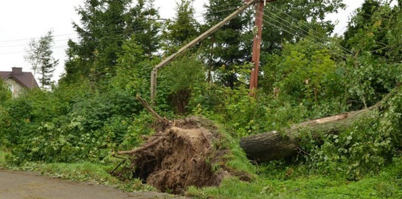 Energa uruchomiła dodatkowe numery telefonów do zgłaszania awarii