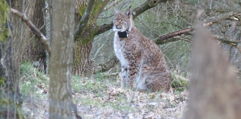 fot. nadesłane/Ryszard Szutenberg