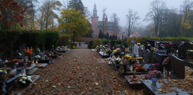 fot. Magda Dzienisz
