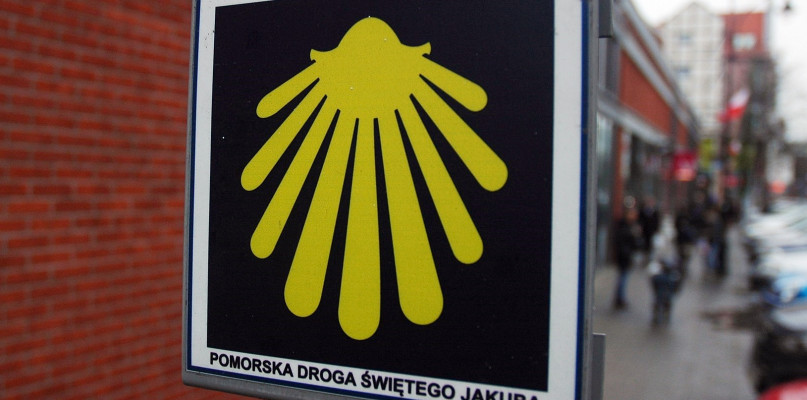 Photographs by Radosław Drożdżewski (User:Zwiadowca21), CC BY-SA 4.0 <https://creativecommons.org/licenses/by-sa/4.0>, via Wikimedia Commons