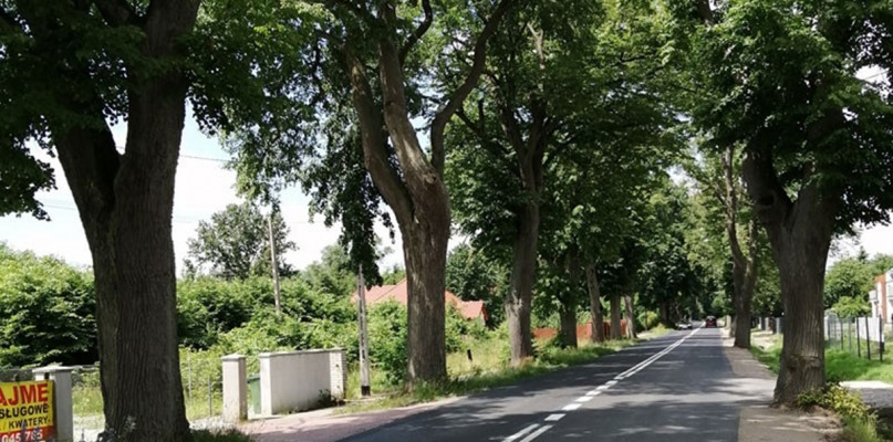 fot. archiwum/Starostwo Powiatowe w Kartuzach