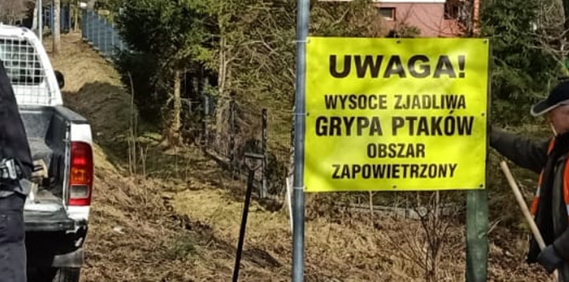 Zdj. ilustracyjne. fot. archiwum/UM Kartuzy