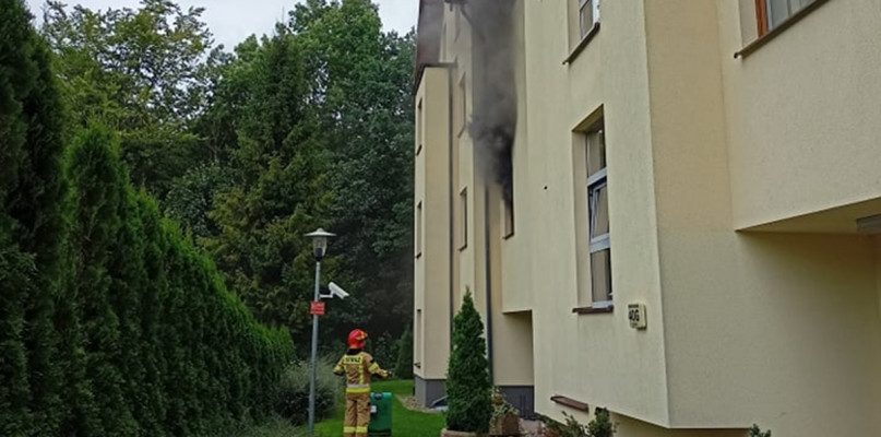 fot. nadesłane
