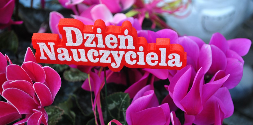 Jakie kwiaty na dzień nauczyciela?