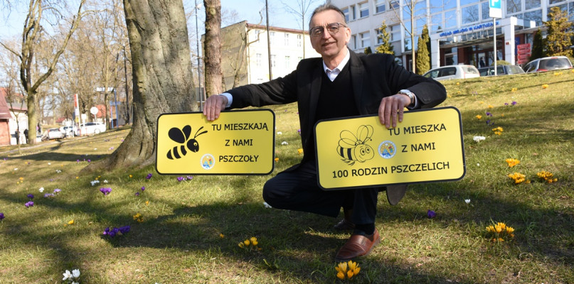 Pomysł kartuskiego koła pszczelarskiego. "To może być ogólnopolska akcja"