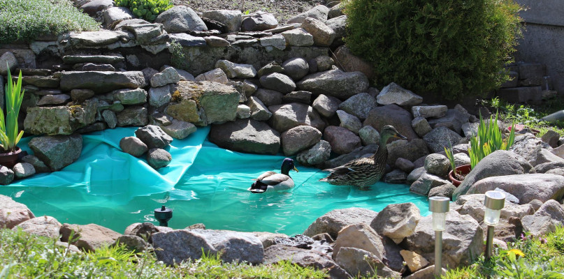 Zdj. ilustracyjne. fot. pixabay