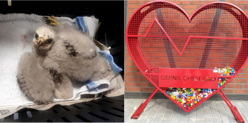 fot. archiwum/fot. UG Chmielno