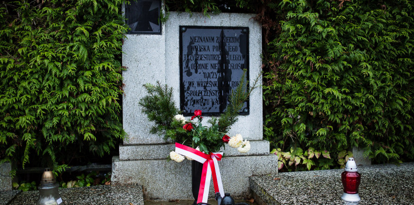 fot. Michał Konkol/pomorskie.travel