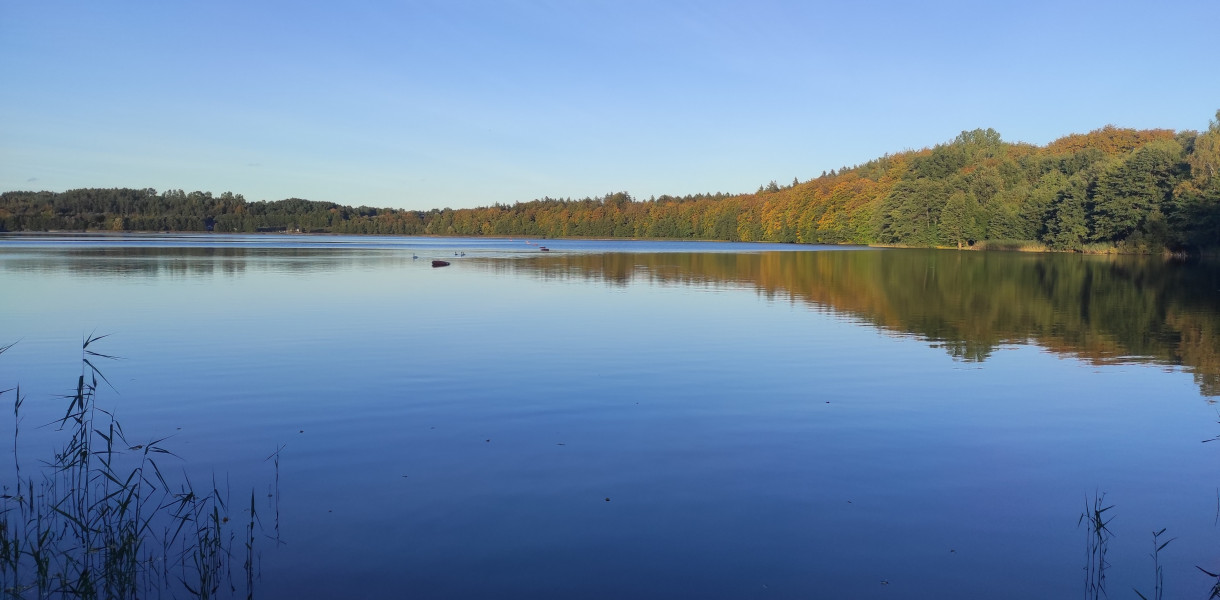 Kąpiel w Jez. Klasztornym Dużym już w przyszłym roku? Jest przetarg