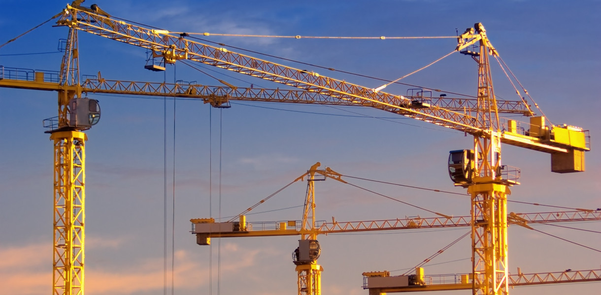 Kurs na żurawie – czy warto?