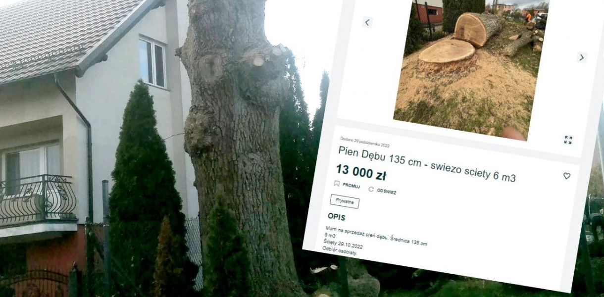 fot.nadesłane/oprac.W.D.