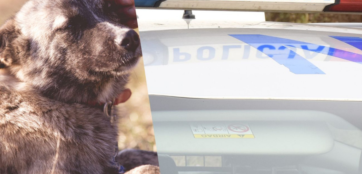 fot.kolaż.oprac.W.D.