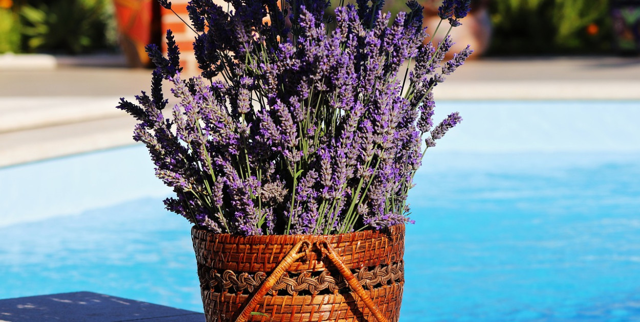 Jakie filtry i pompy do basenu wybrać?