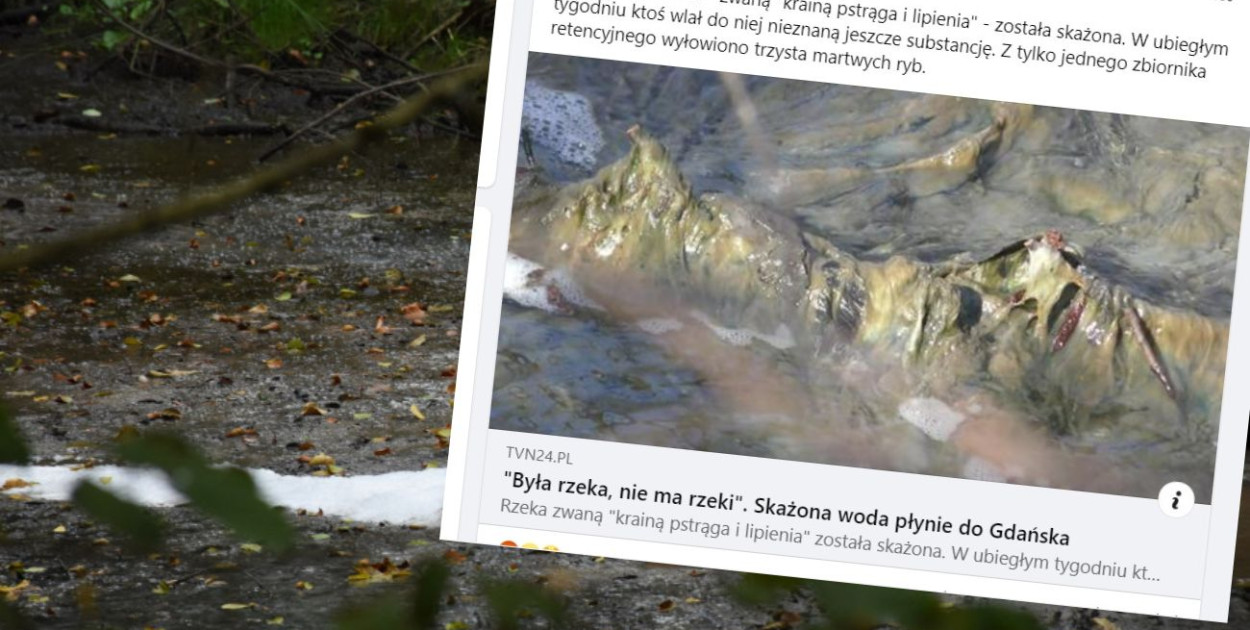 fot.kolaż.oprac.W.D./screen/FB