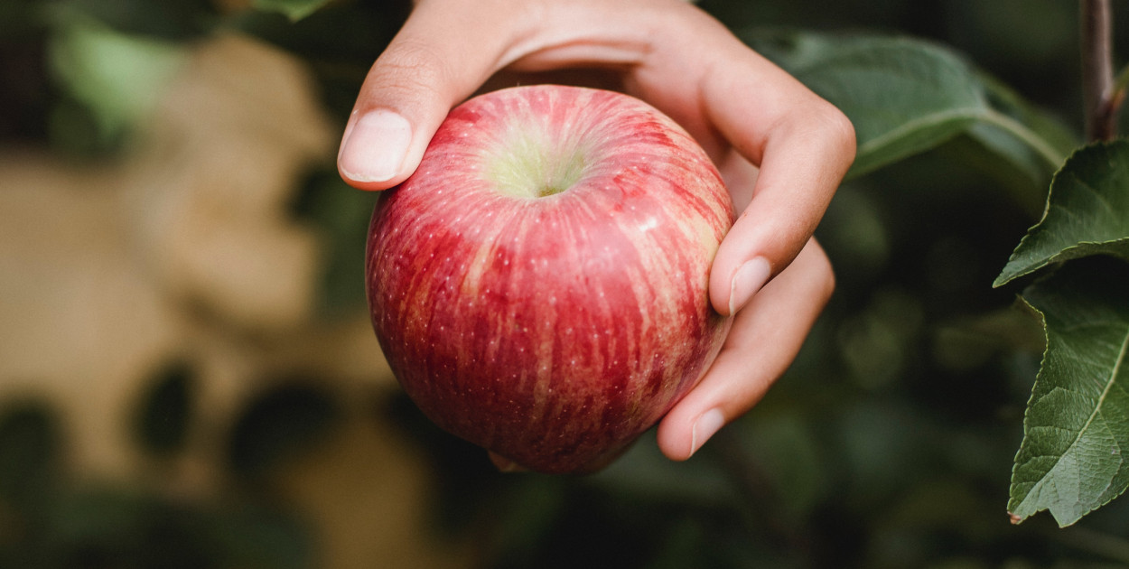 Jabłko, foto: pexels.com
