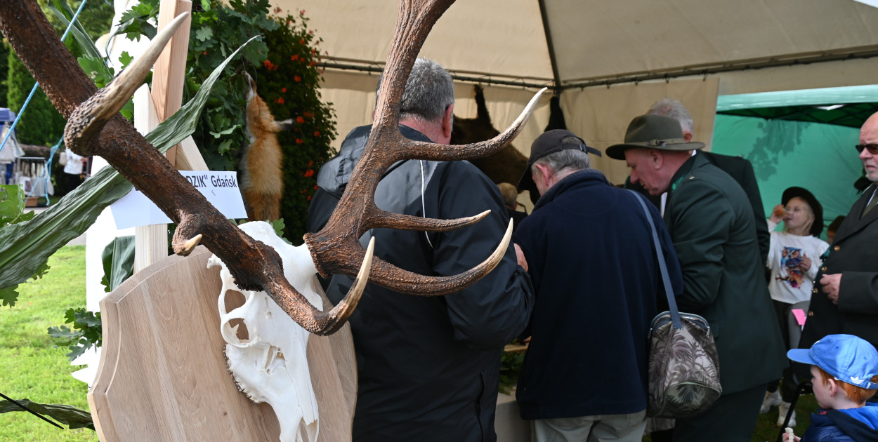 Opinia. Co ma wspólnego leśnictwo z myślistwem?