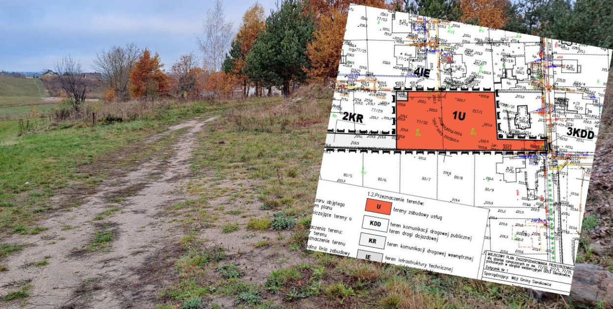 fot.kolaż.oprac.W.D.