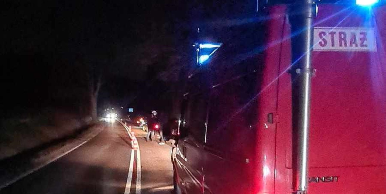 Delowo. Pięć samochodów uszkodzonych przez złamany konar