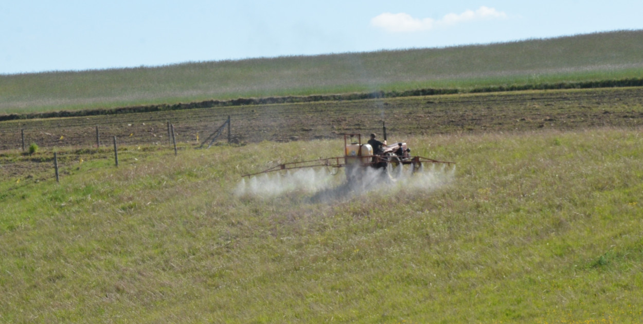 Chmielno. Rolnicy zapominają o pszczołach? Chodzi o godziny oprysków