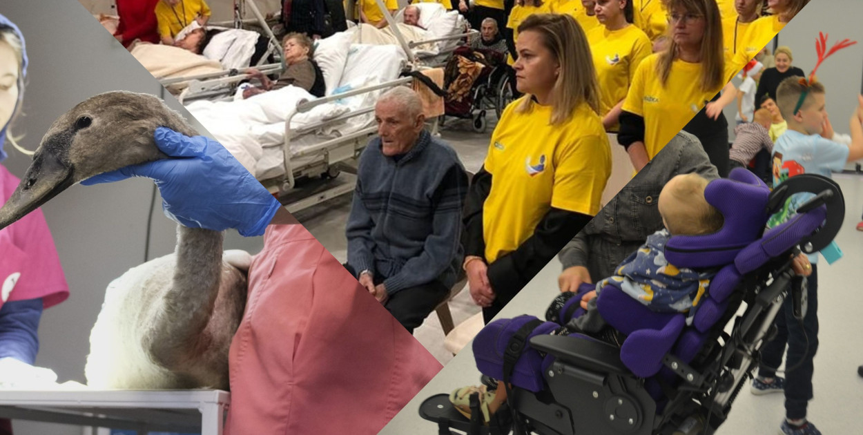 Powiat. Jakie fundacje i organizacje otrzymały najwięcej z 1,5 proc.?