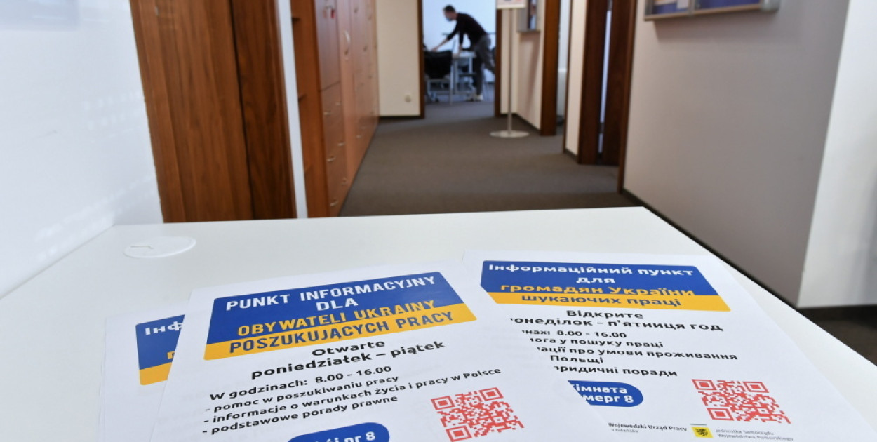 78 proc. imigrantów z Ukrainy pracuje lub poszukuje pracy w Polsce