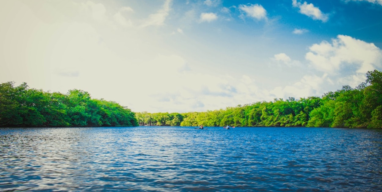 Gdzie łowić magnesem? Sprawdź nasze propozycje!