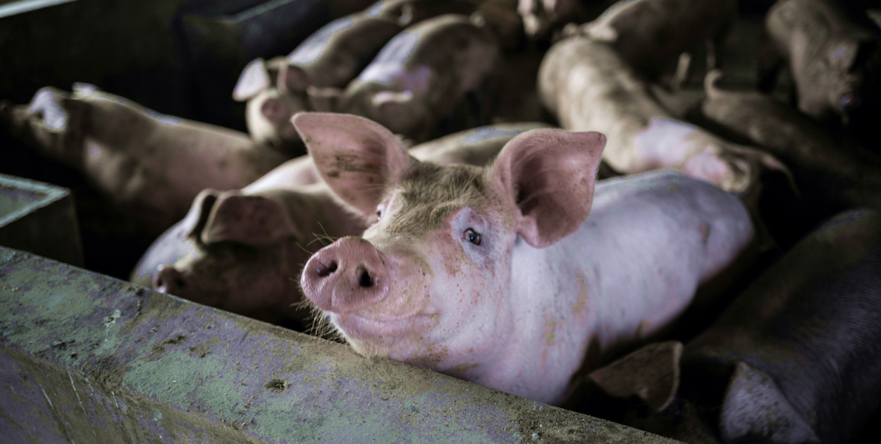 Zdj. ilustracyjne. fot. pexels