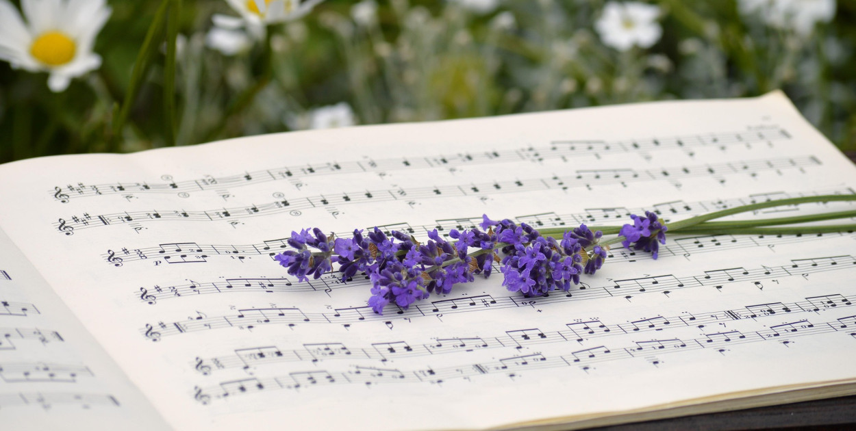 Zdj. ilustracyjne. fot. pixabay