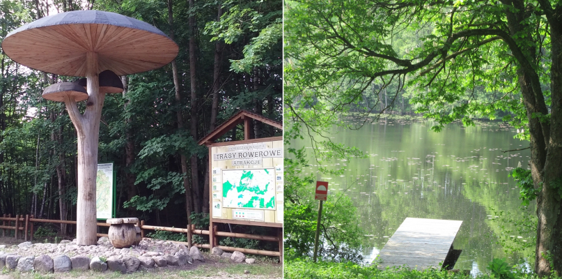 Słynny wielki drewniany grzyb i malownicze zejście do leśnego jeziorka. fot. M.Dz.