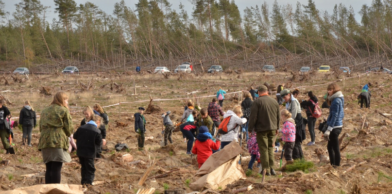 Akcja sadzenia lasu w Leśnictwie Kłodno w 2018 r. fot. archiwum/W.D.