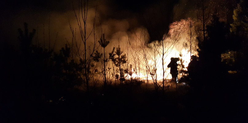 Pożar w Leśnictwie Sierakowice. fot. nadesłane/A. Beczek