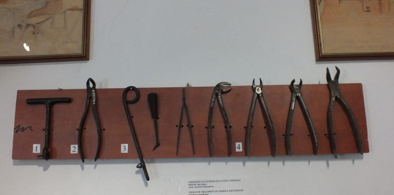 fot.Muzeum Kaszubskie w Kartuzach