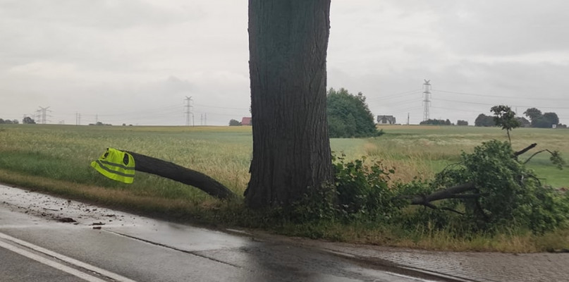 fot. nadesłane