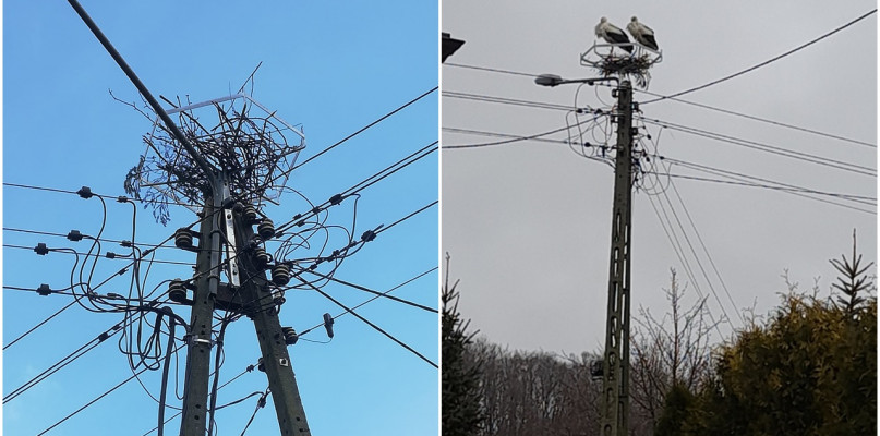 fot.nadesłane/Czytelnik/Energa-Operator