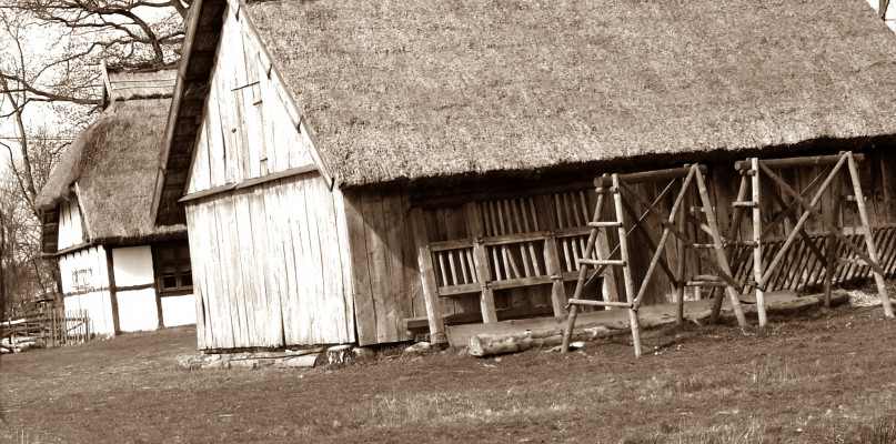 fot.archiwum/W.D.