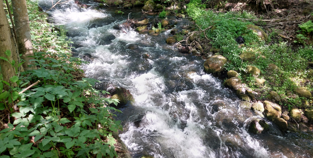 Rynna Sulęczyńska na rzece Słupi. fot. M.Dz