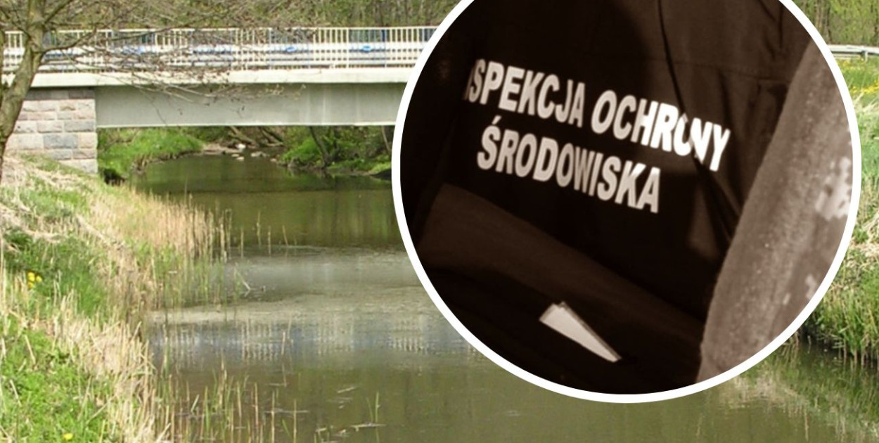 fot.kolaż.oprac.W.D./zdj.główne: Tomasz Przechlewski 