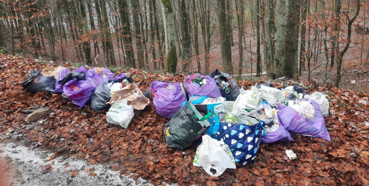 fot. nadesłane/UM Kartuzy