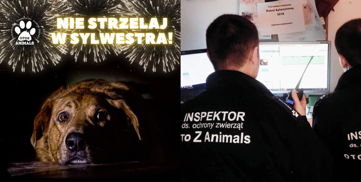 fot. OTOZ Animals