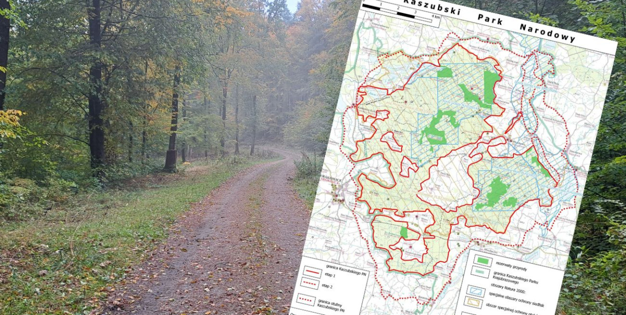 fot.kolaż.oprac.W.D.