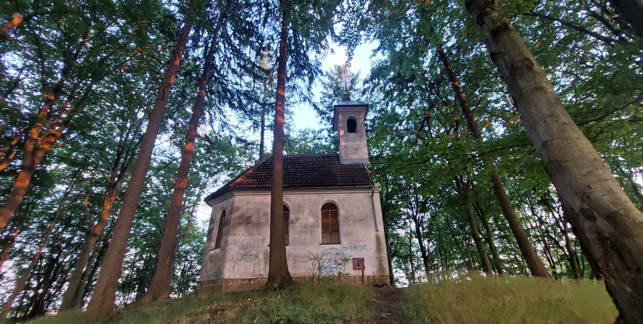 fot. Magda Dzienisz