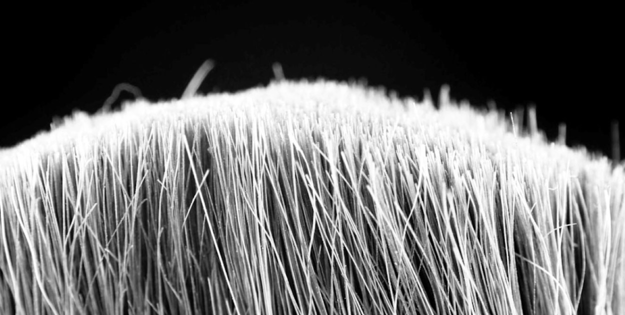 unsplash.com Licencja: https://unsplash.com/license