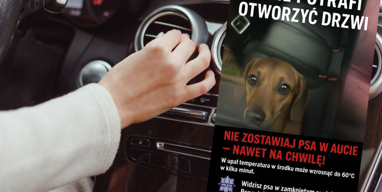 fot.kolaż.oprac.W.D.