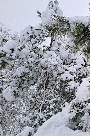 Wasze zdjęcia z zimowej soboty na Kaszubach-29422