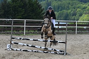 Zawody jeździeckie w Kolanie-29819
