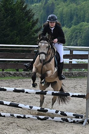 Zawody jeździeckie w Kolanie-29819